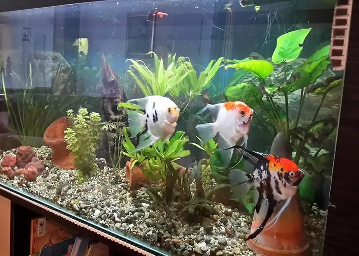 Ξενοδοχείο Garden Ristorante Tabiano Terme